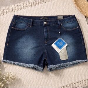 NWT A3 Denim Womens Plus Size 22W Dark Wash Frayed Hem Stretch Jean Shorts